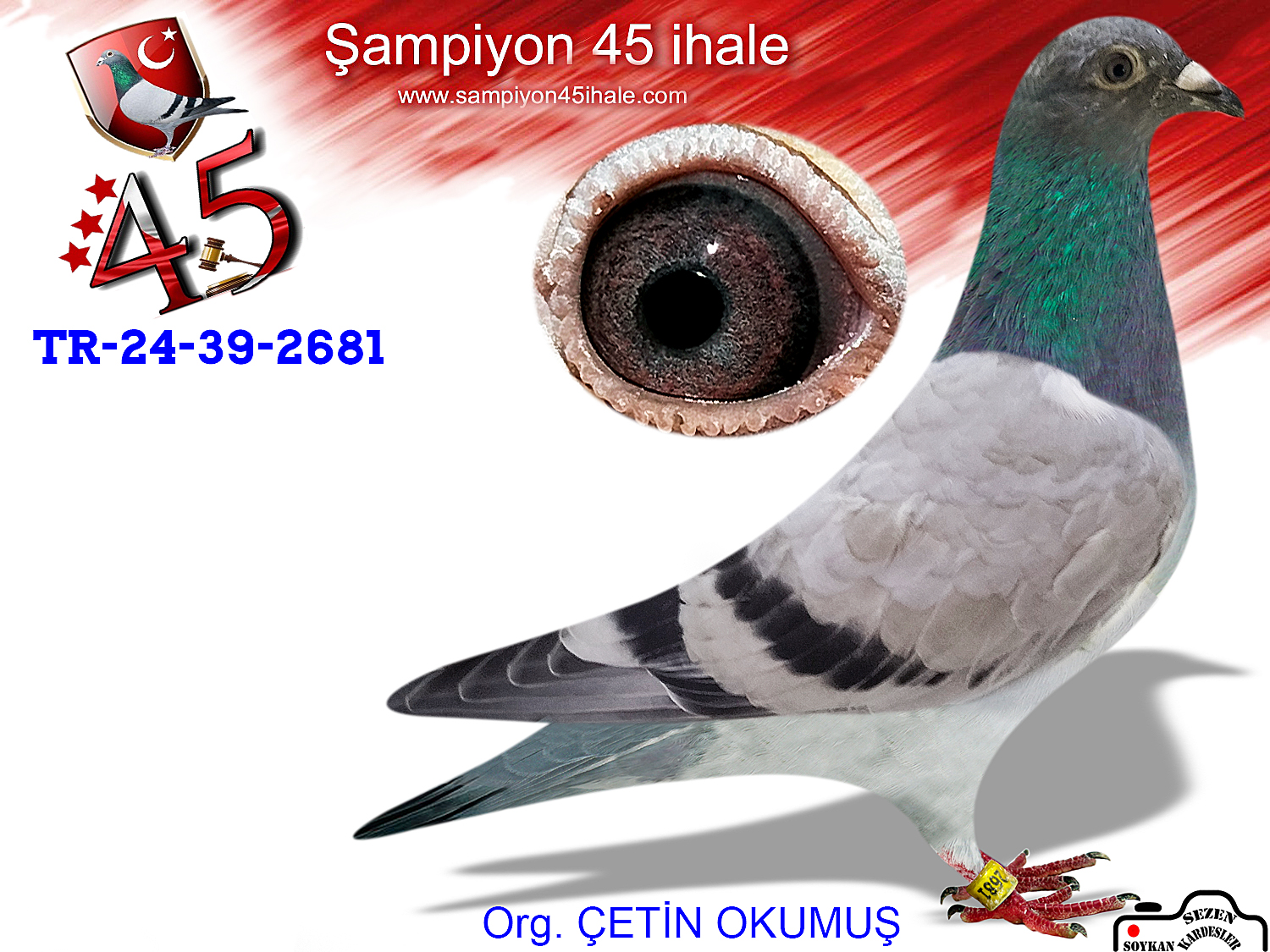 TR-24-39-2681 DİŞİ