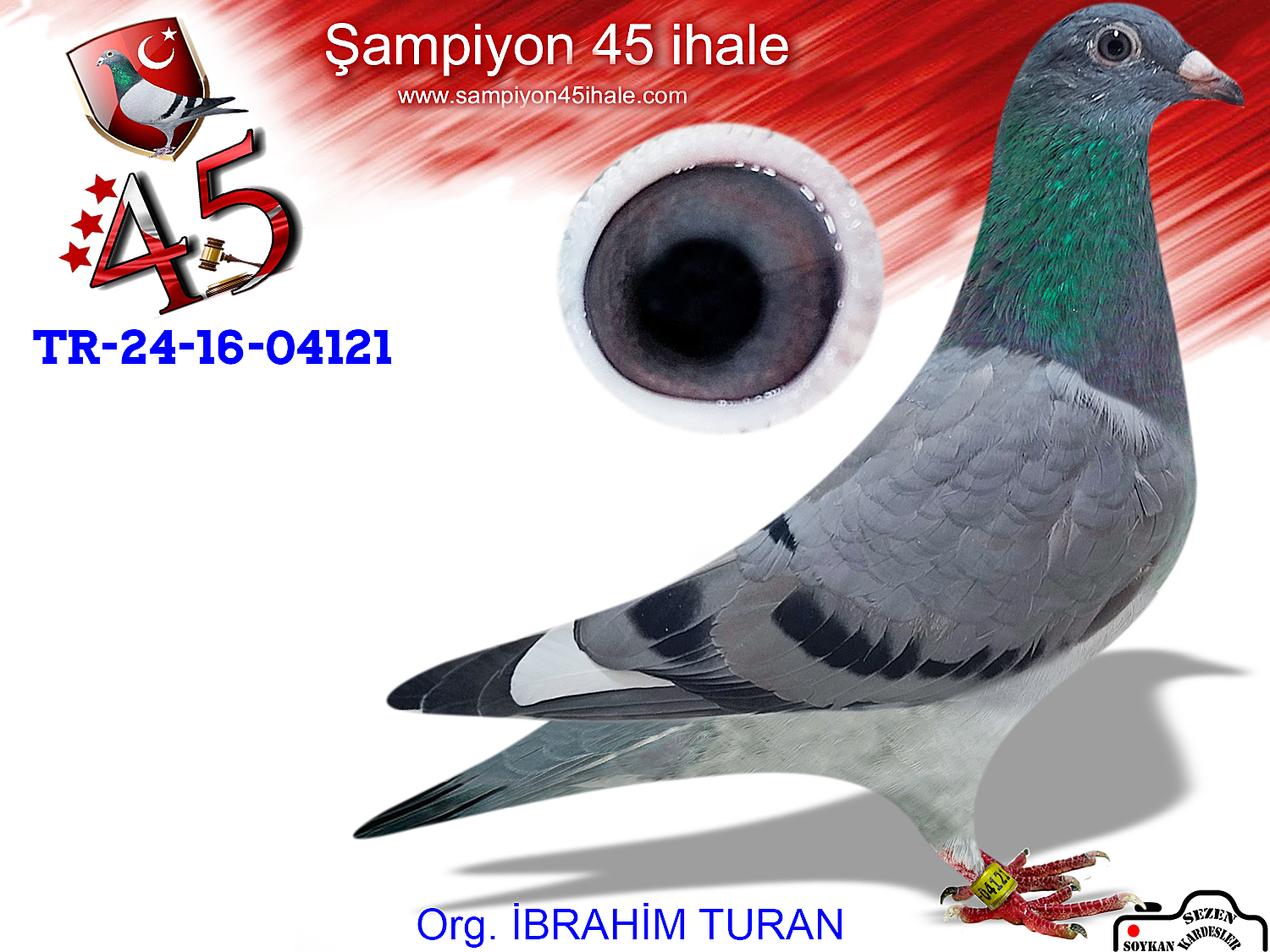 TR-24-16-4121 DİŞİ