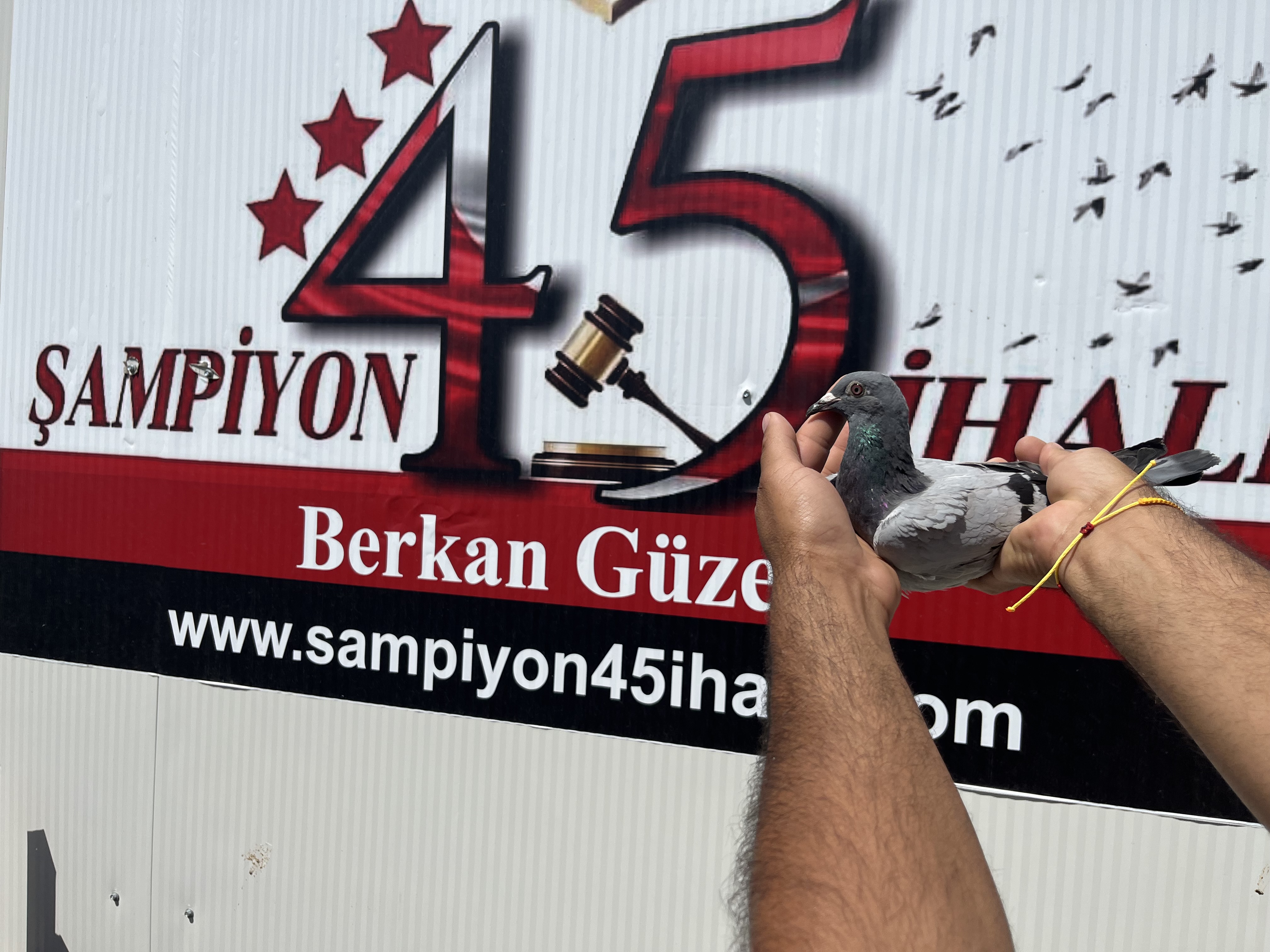 DV-07258-24-618 DİŞİ