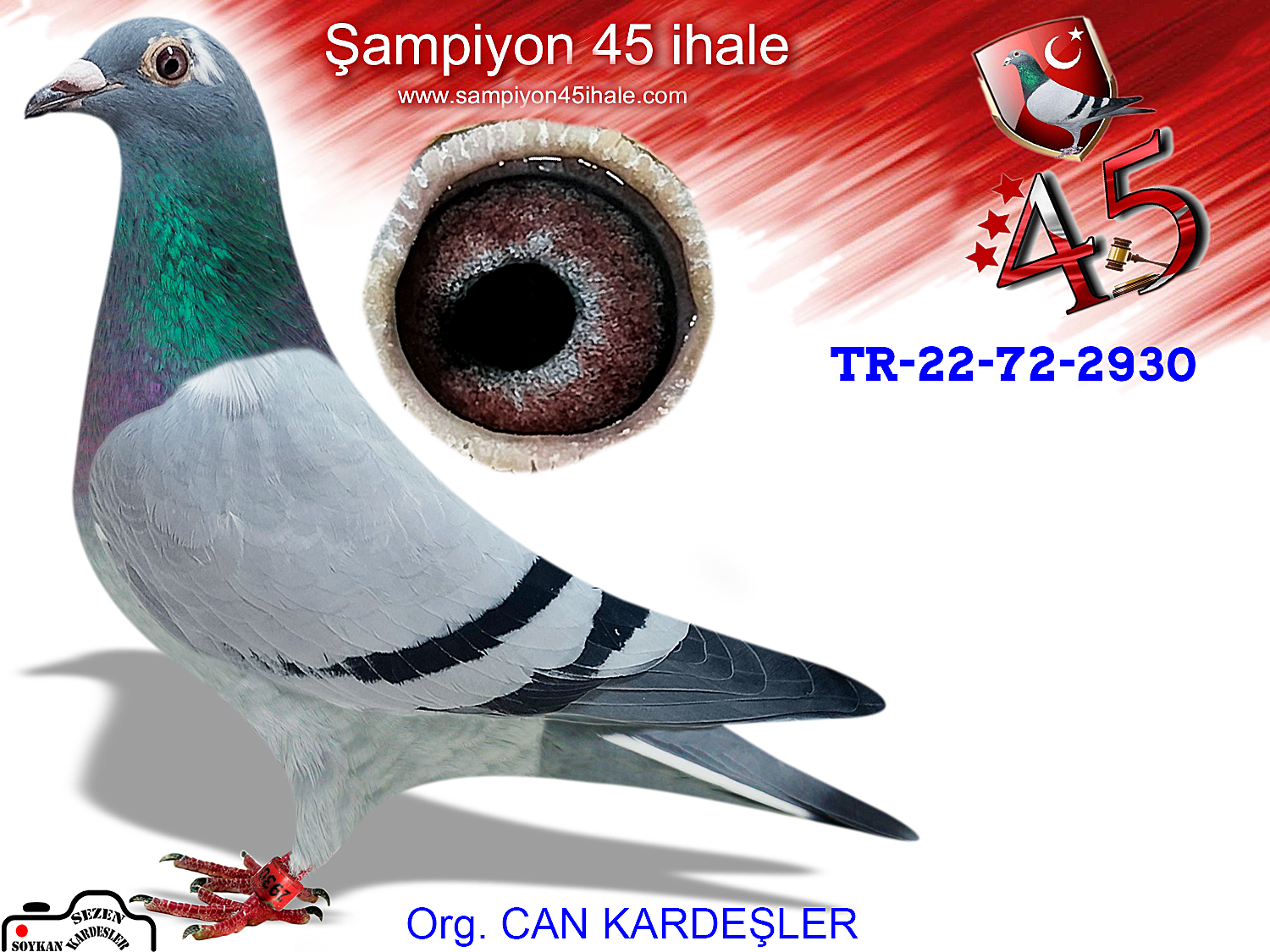 TR-22-72-2930 DİŞİ