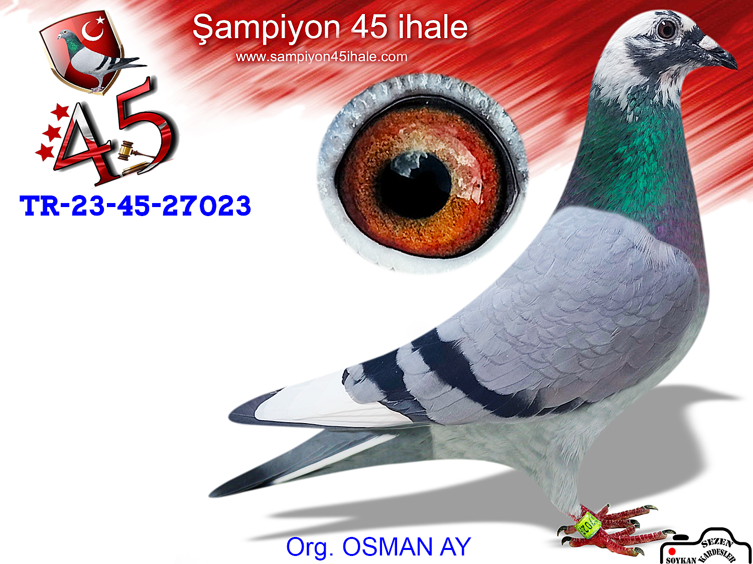 TR-23-45-27023 DİŞİ