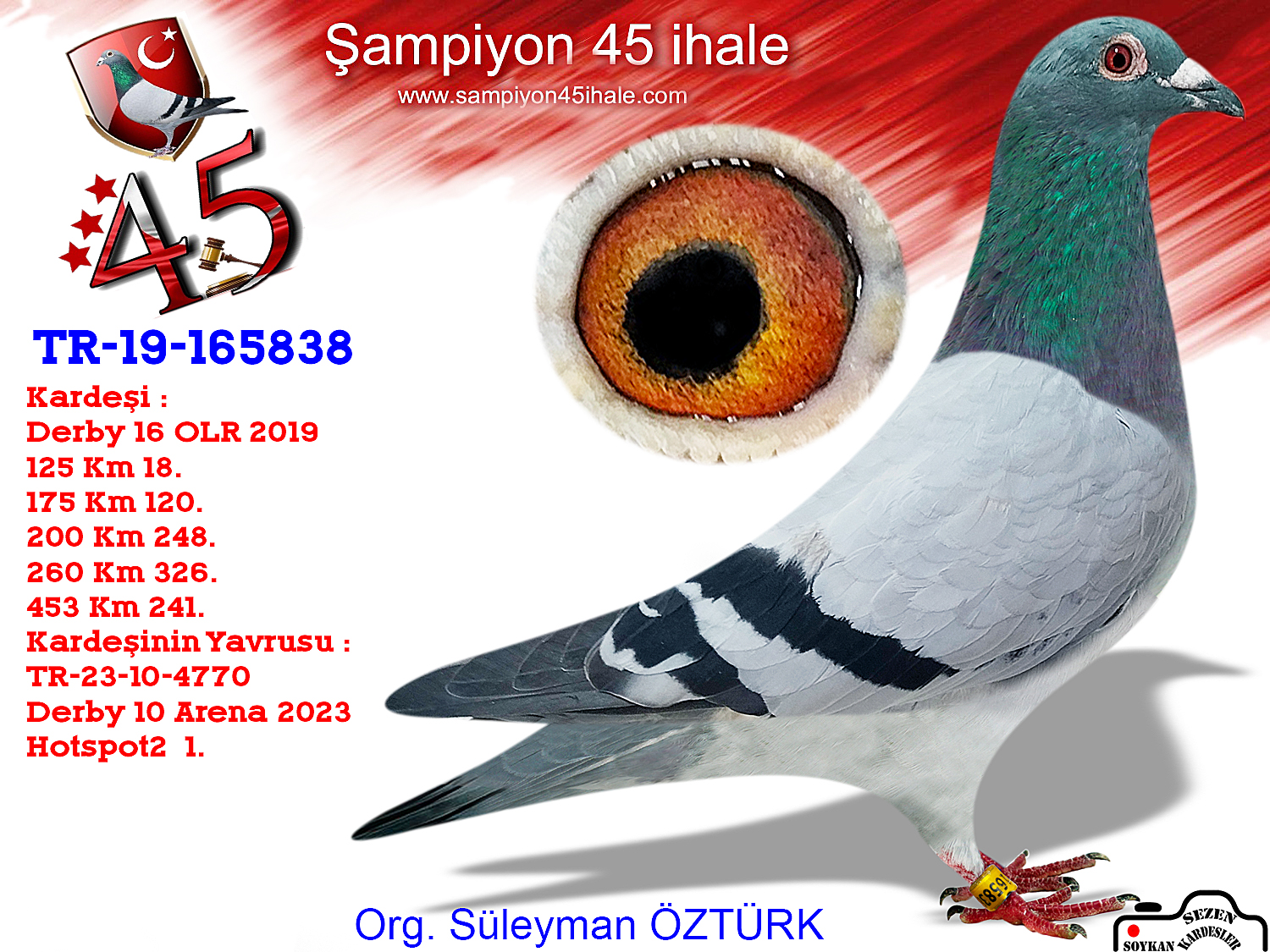 TR-19-165838 DİŞİ