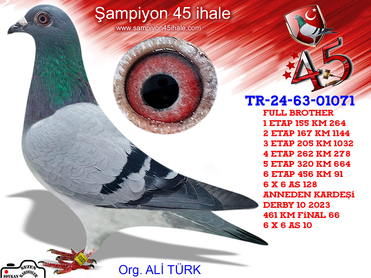 TR-24-63-01071 DİŞİ