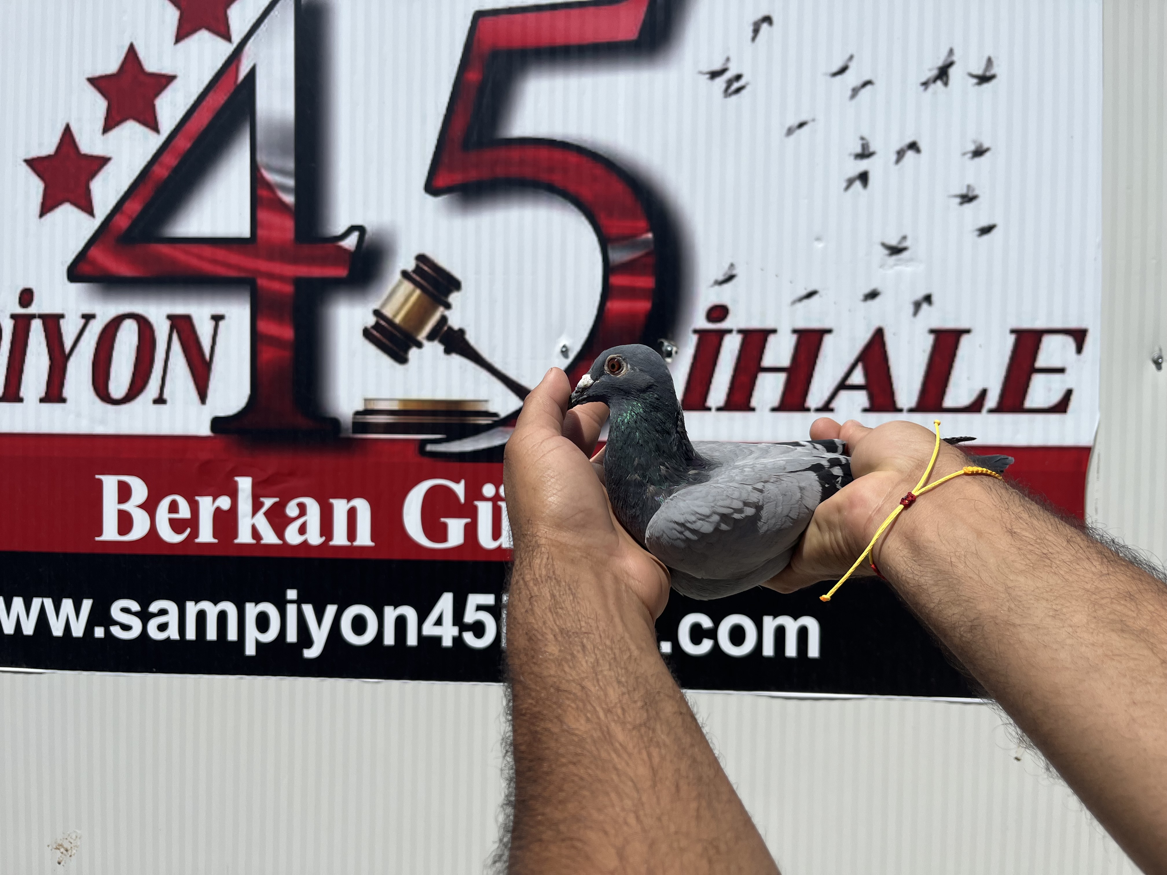 DV-05412-24-305 DİŞİ
