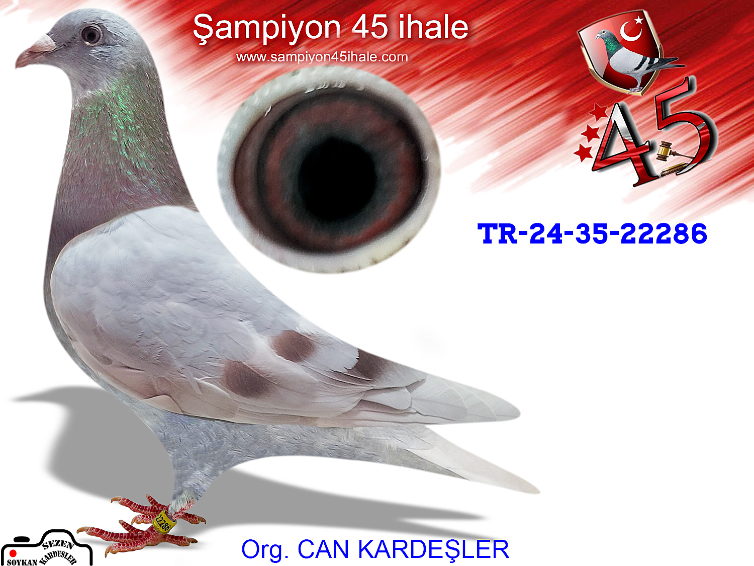 TR-24-35-22286 DİŞİ