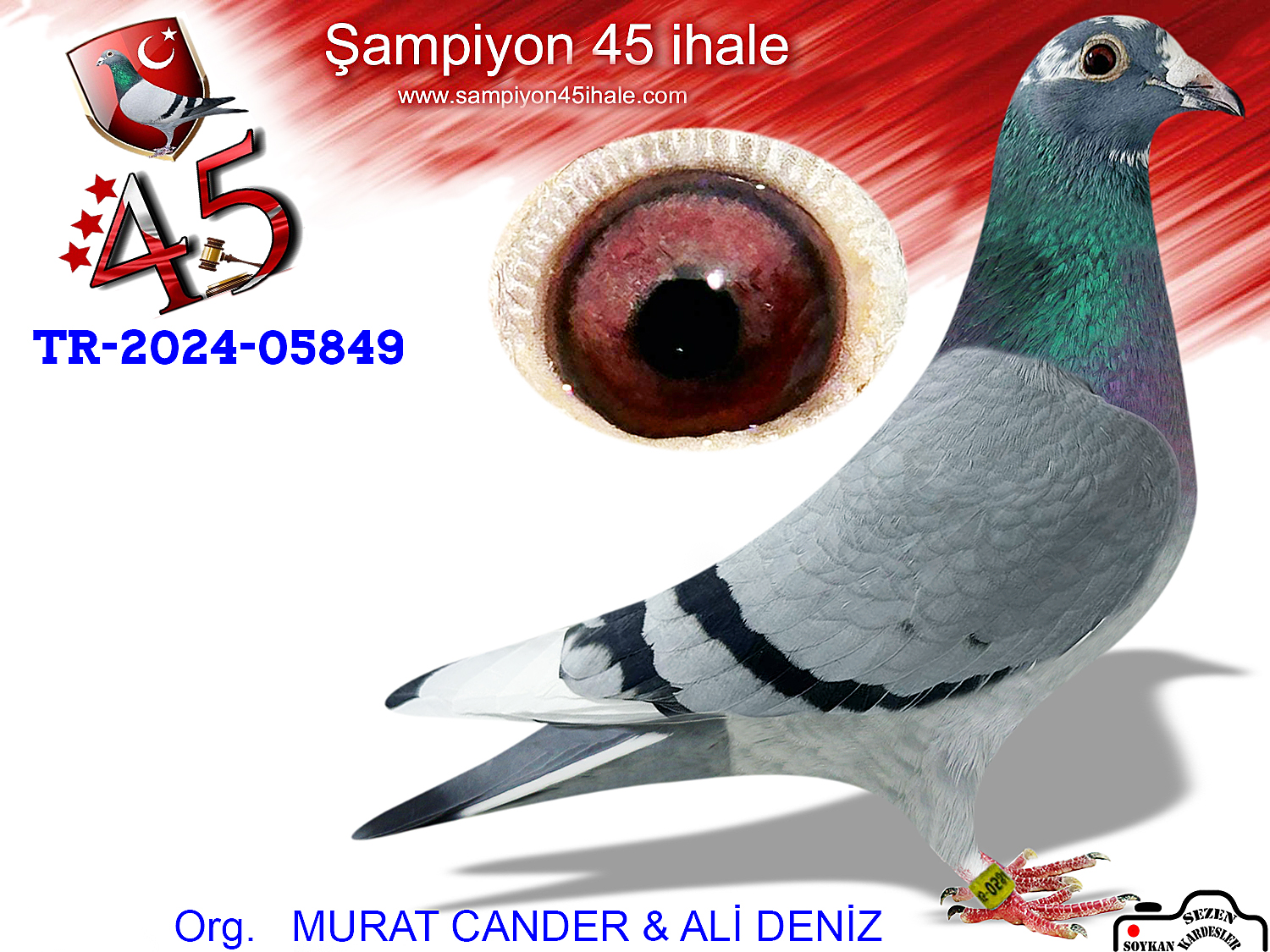 TR-24-45-05849 DİŞİ