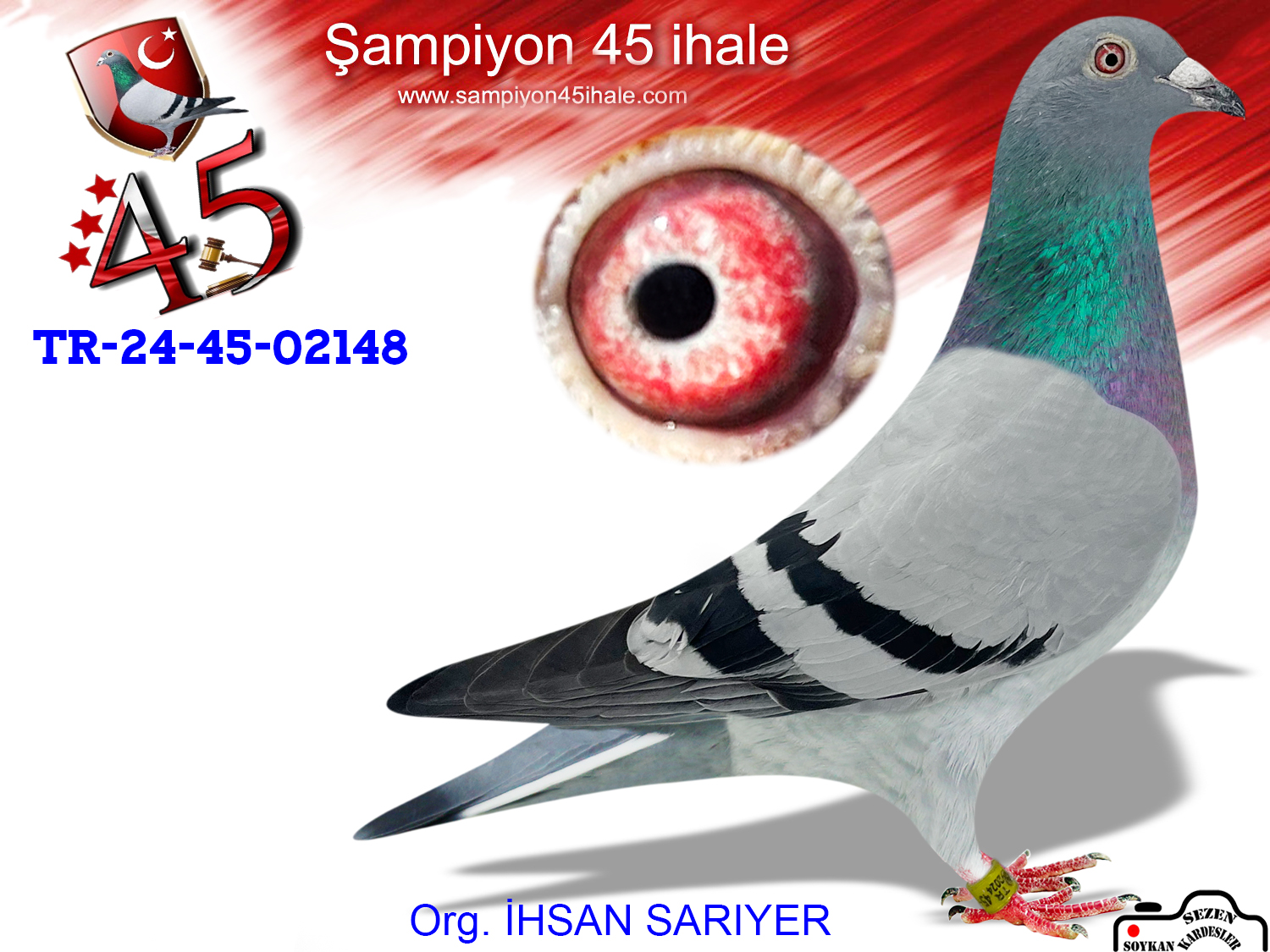 TR-24-45-02148 DİŞİ