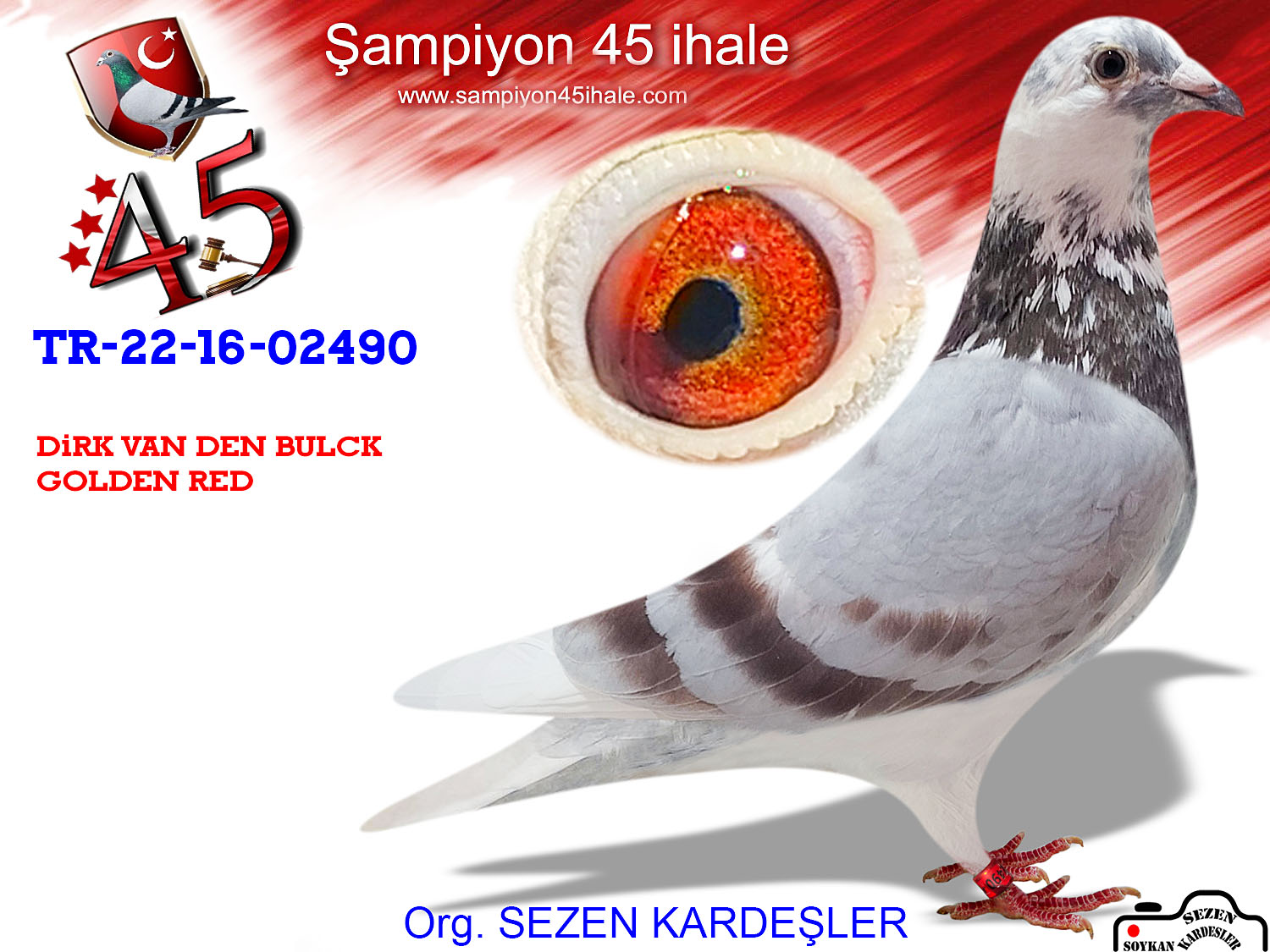 TR-22-16-02490 DİŞİ