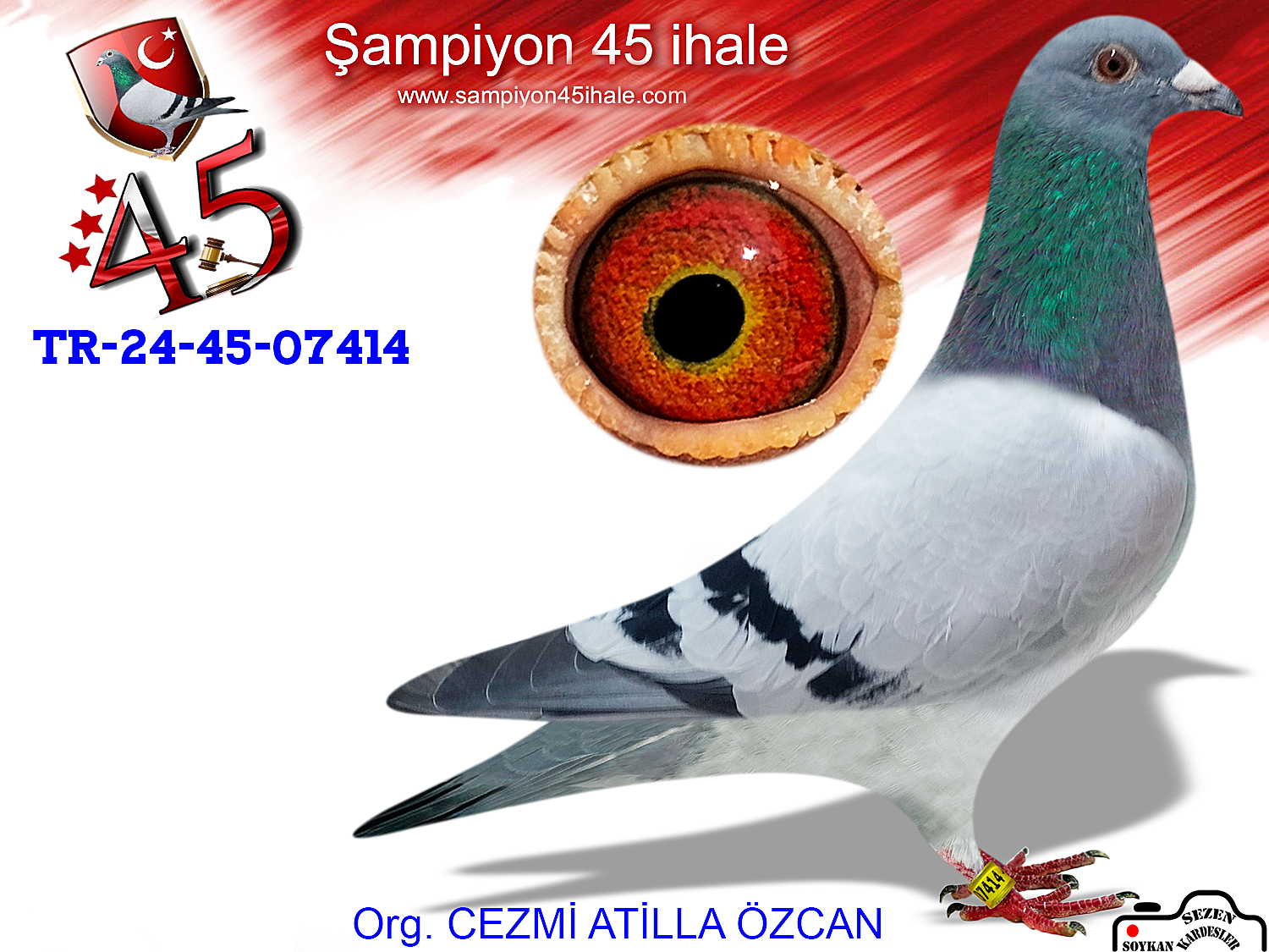 TR-24-45-07414 DİŞİ