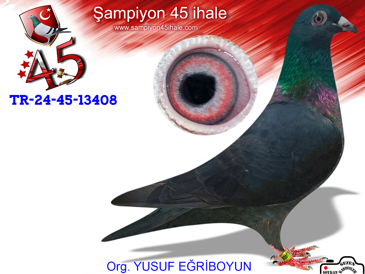 TR-24-45-13408 DİŞİ