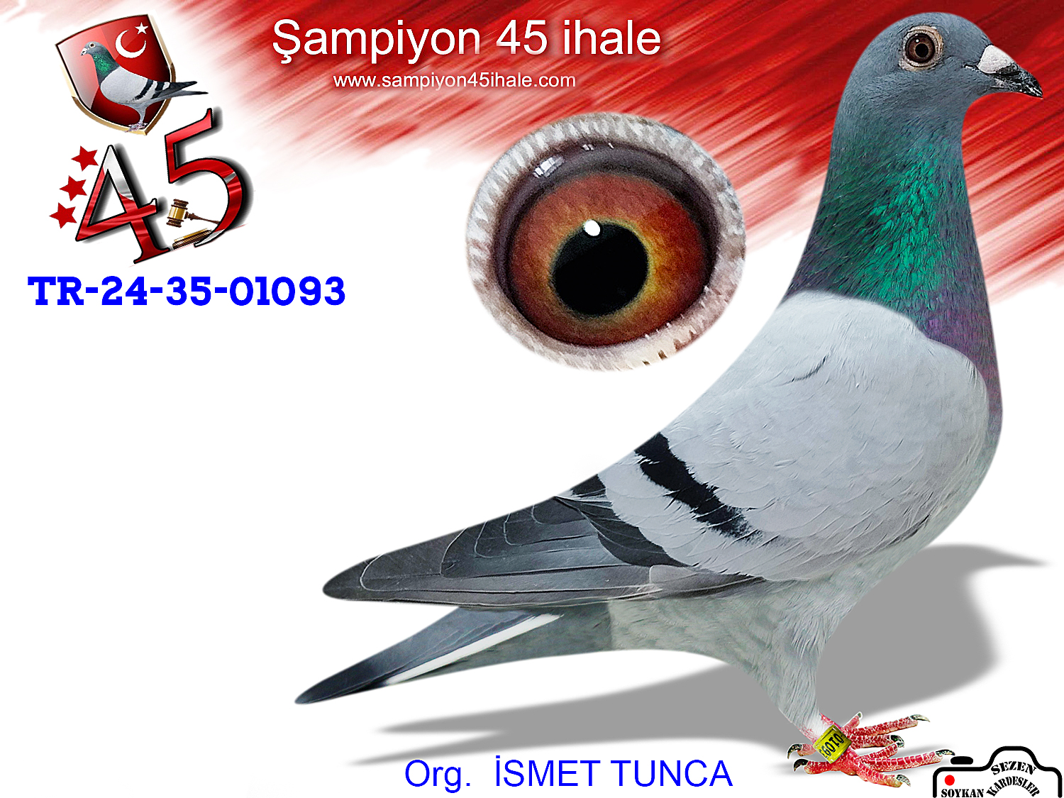 TR-24-35-01093 DİŞİ