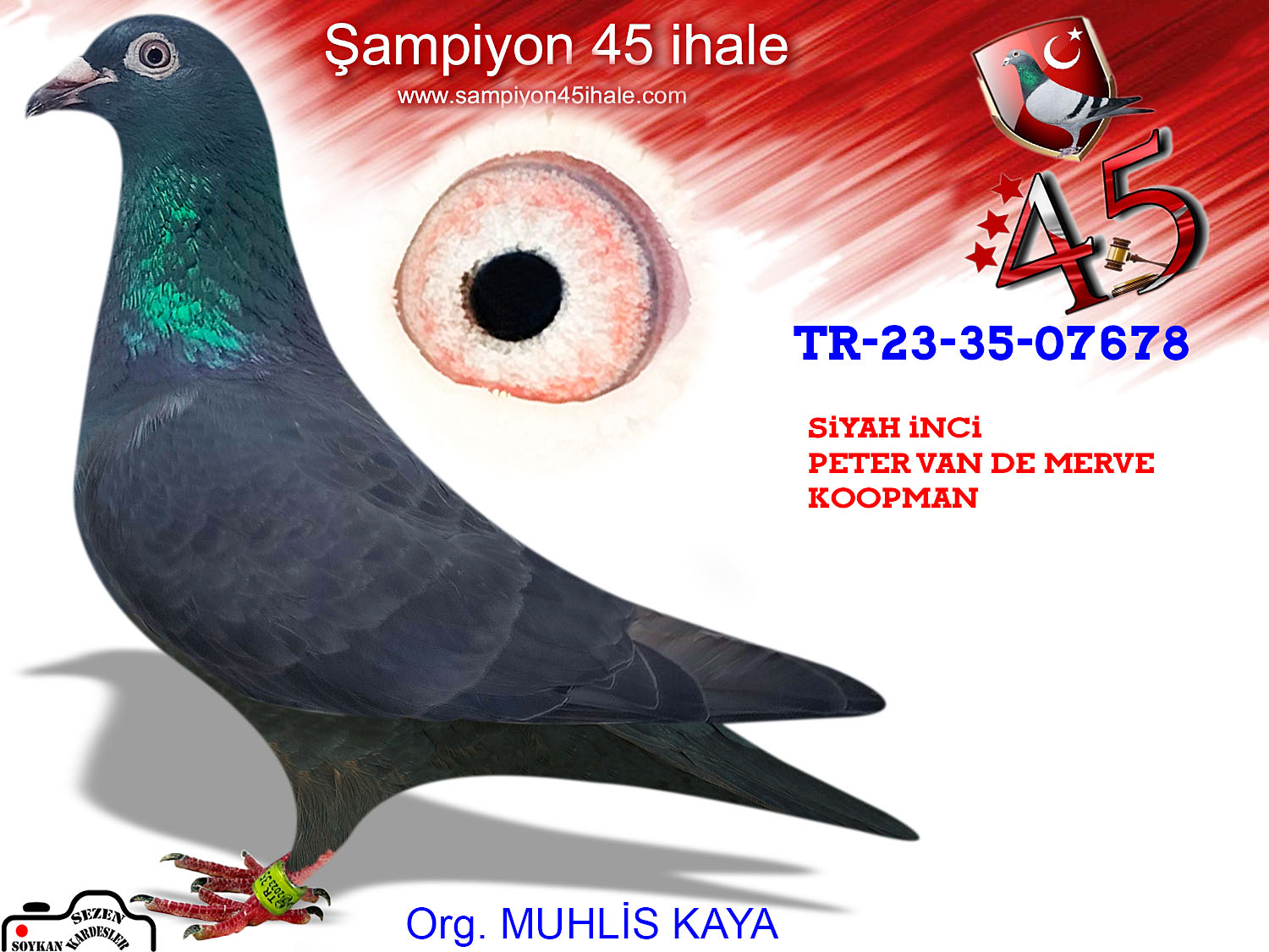 TR-23-35-07678 DİŞİ