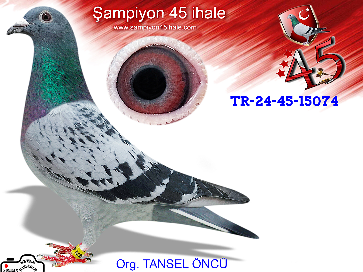 TR-24-45-15074 DİŞİ