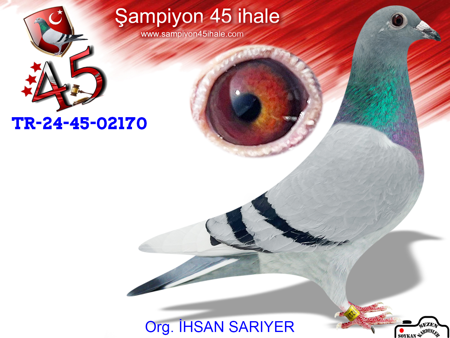 TR-24-45-02170 DİŞİ