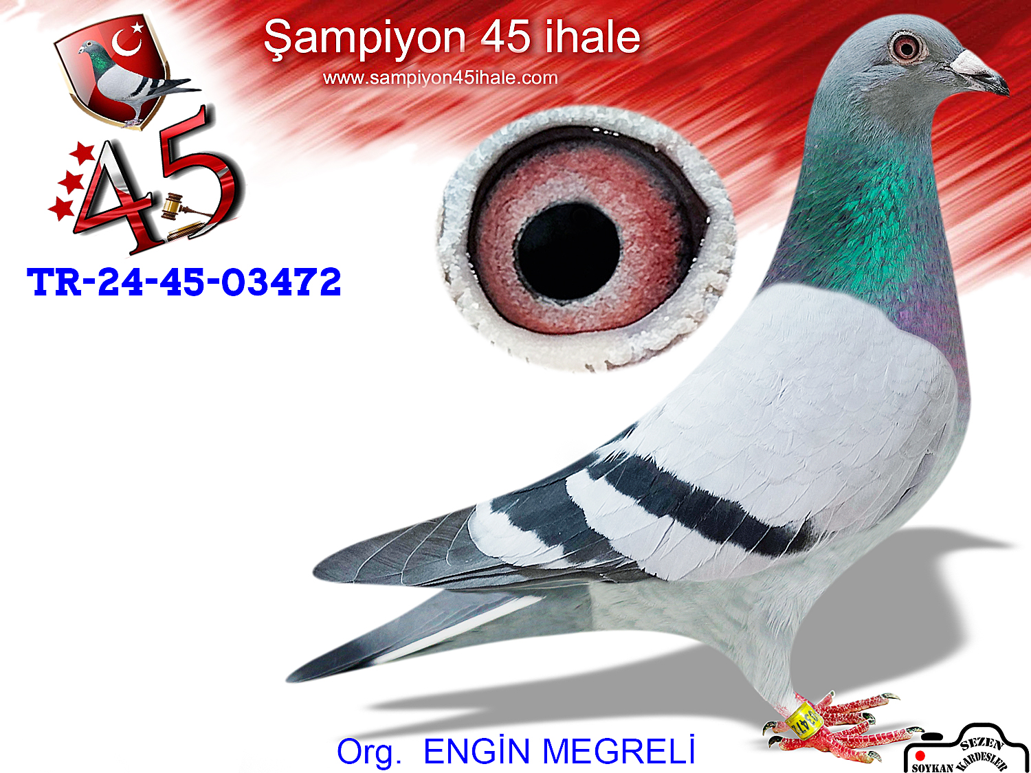 TR-24-45-03472 DİŞİ