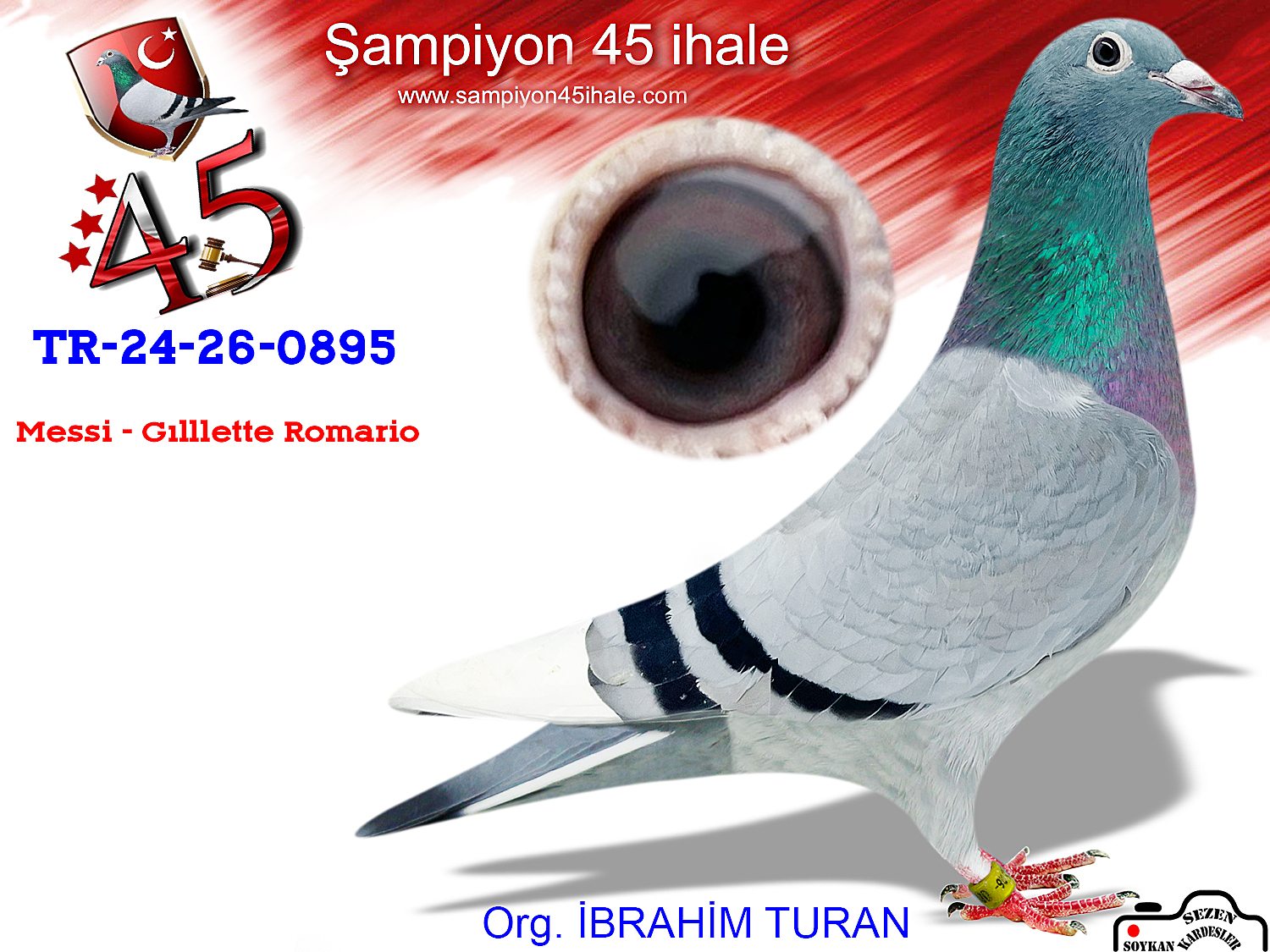 TR-24-26-0895 DİŞİ