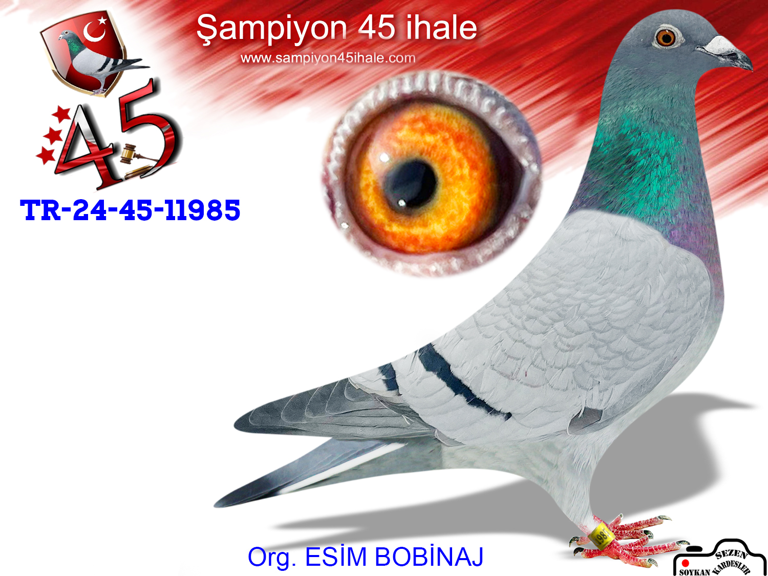 TR-24-45-11985 DİŞİ