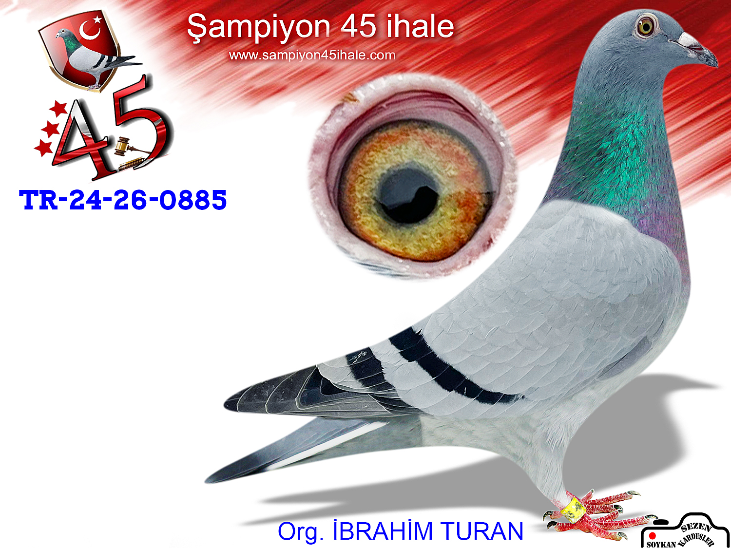 TR-24-26-0885 DİŞİ