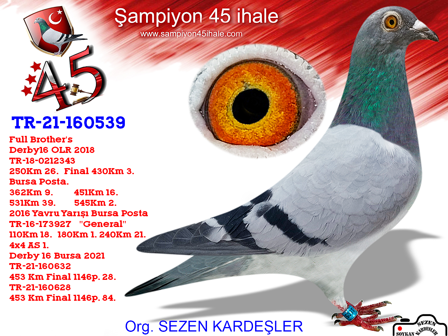 TR-21-160539 DİŞİ