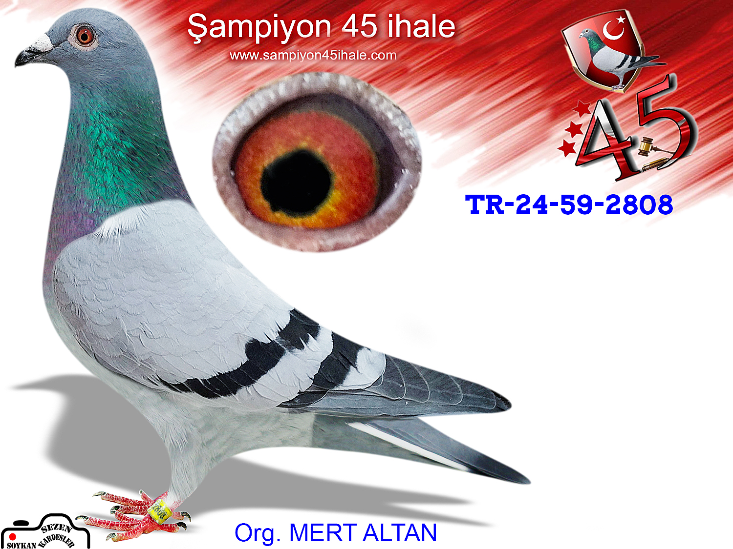 TR-24-59-2808 DİŞİ