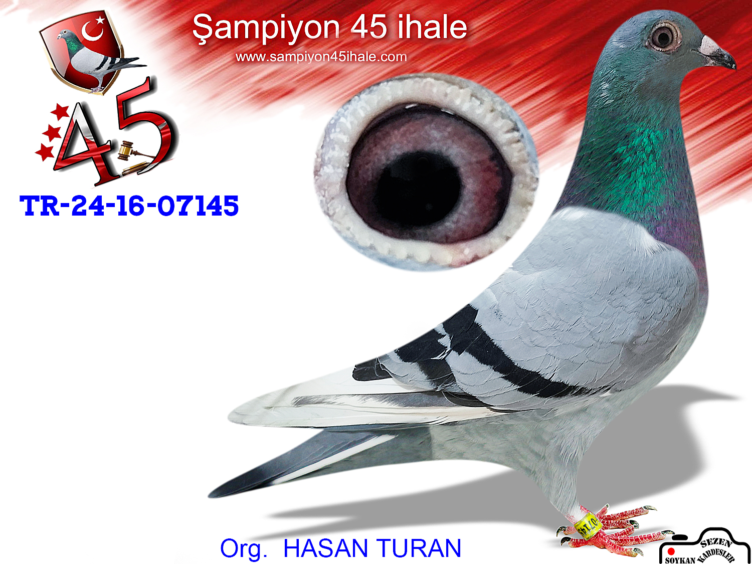 TR-24-16-07145 DİŞİ