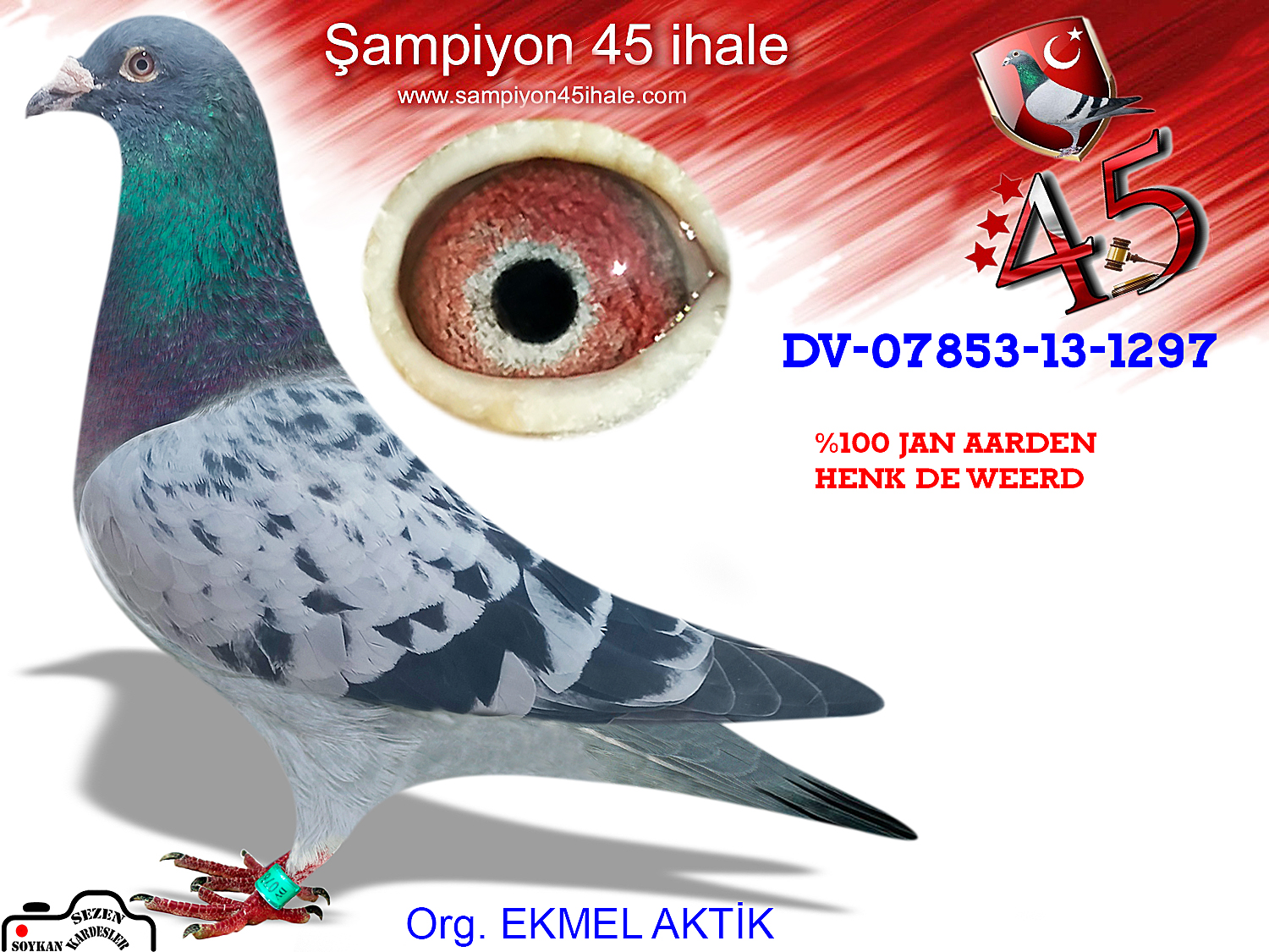 DV-13-1297 ERKEK 