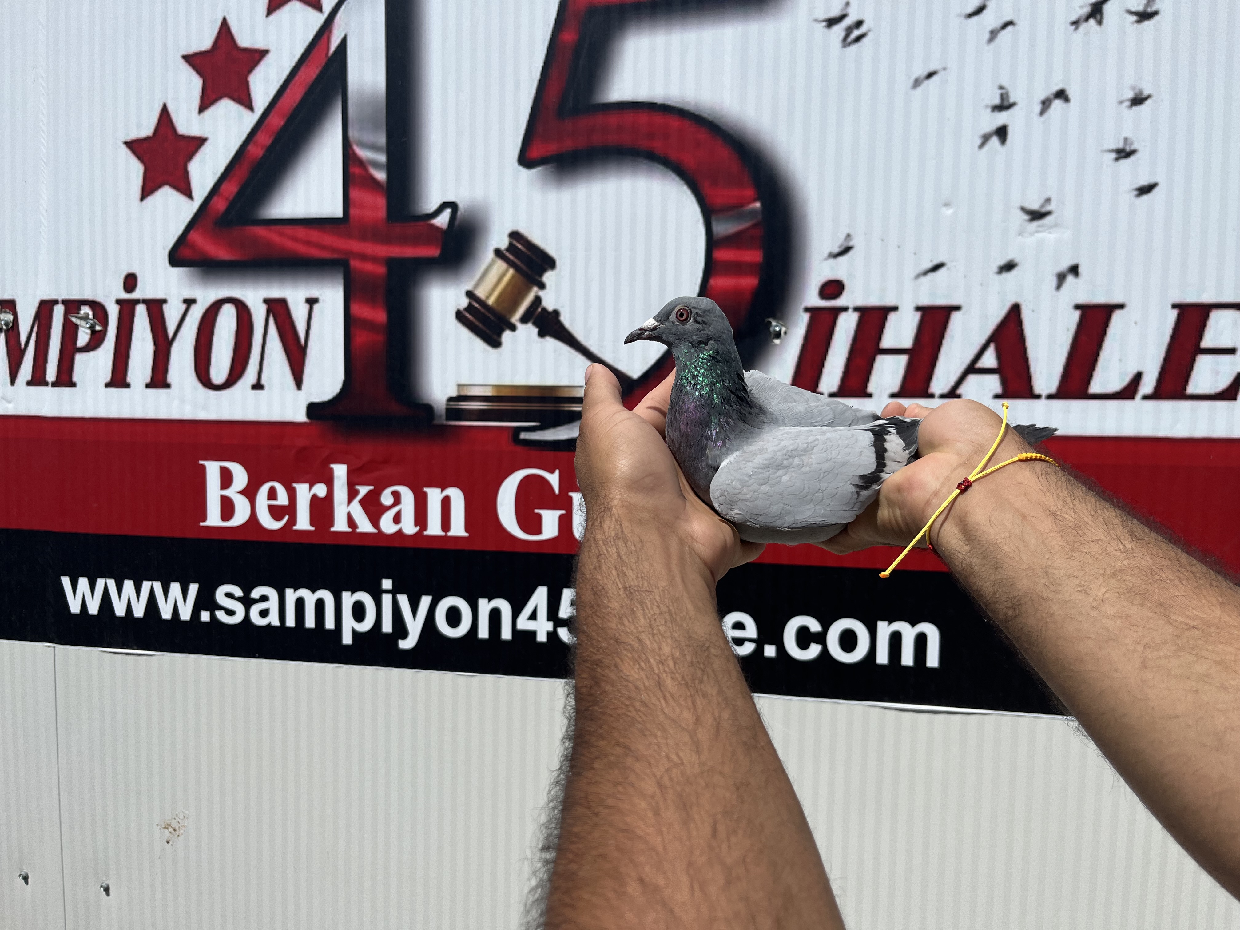 DV-07258-24-617 DİŞİ