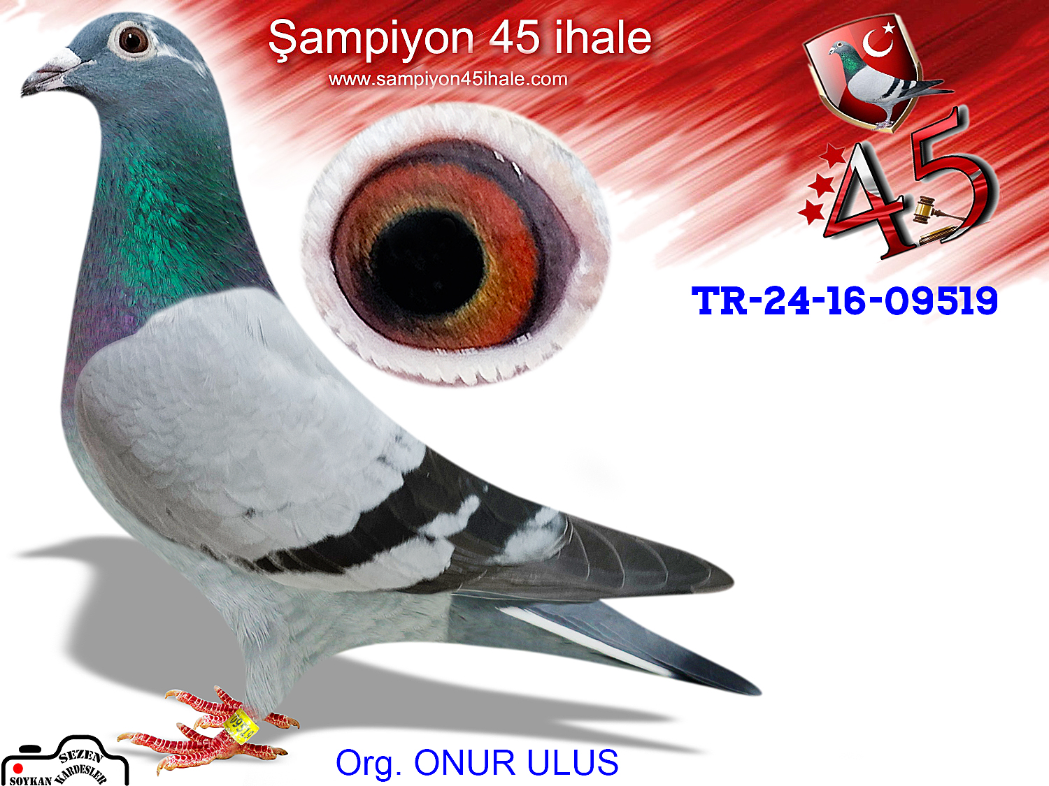 TR-24-16-09519 DİŞİ