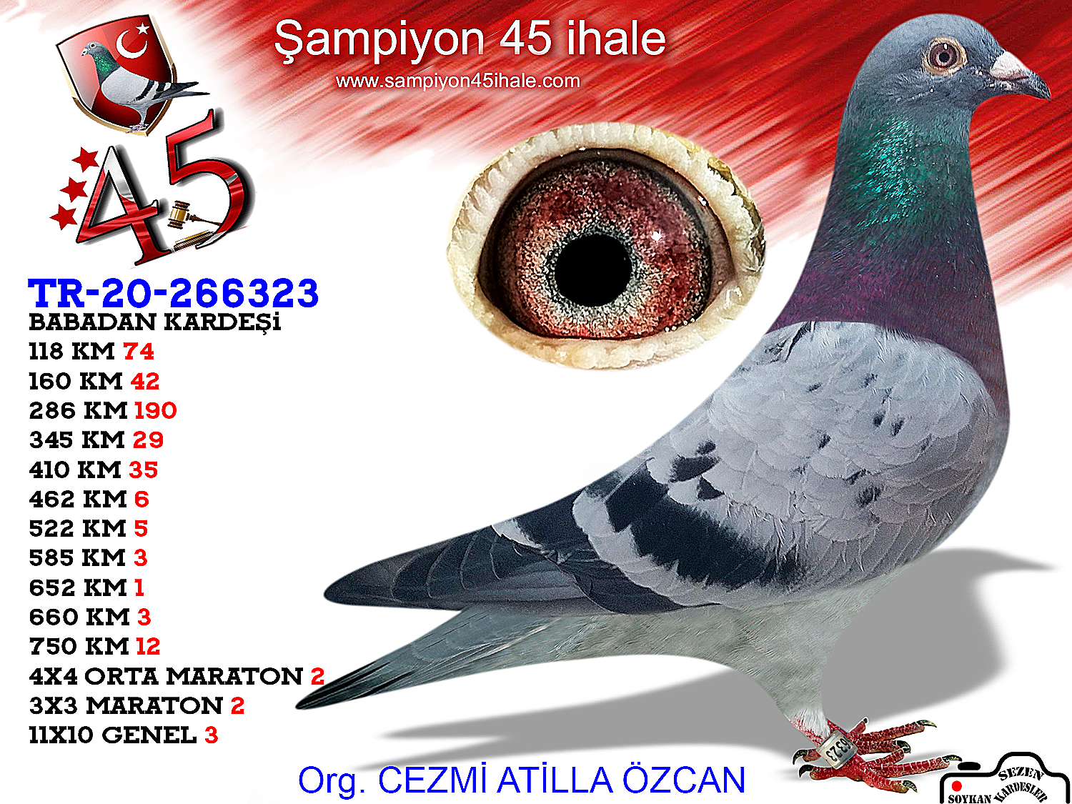 TR-20-266323 DİŞİ