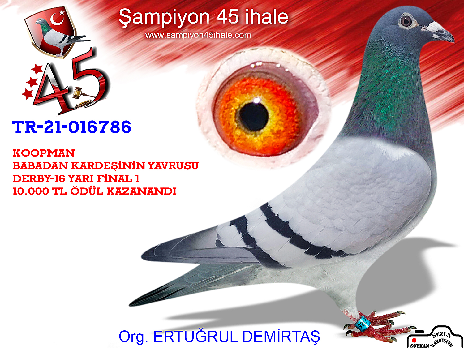 TR-21-016786 DİŞİ 