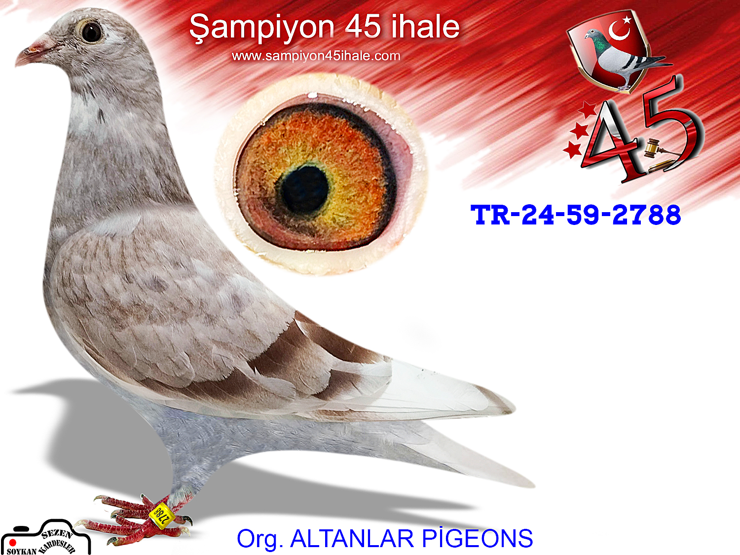 TR-24-59-2788 DİŞİ