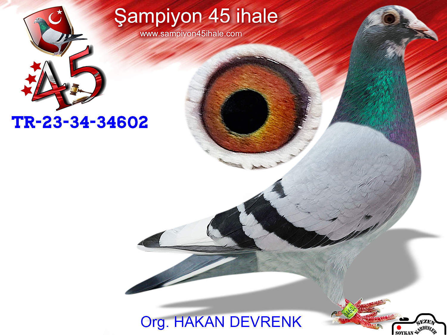 TR-23-34-34602 DİŞİ