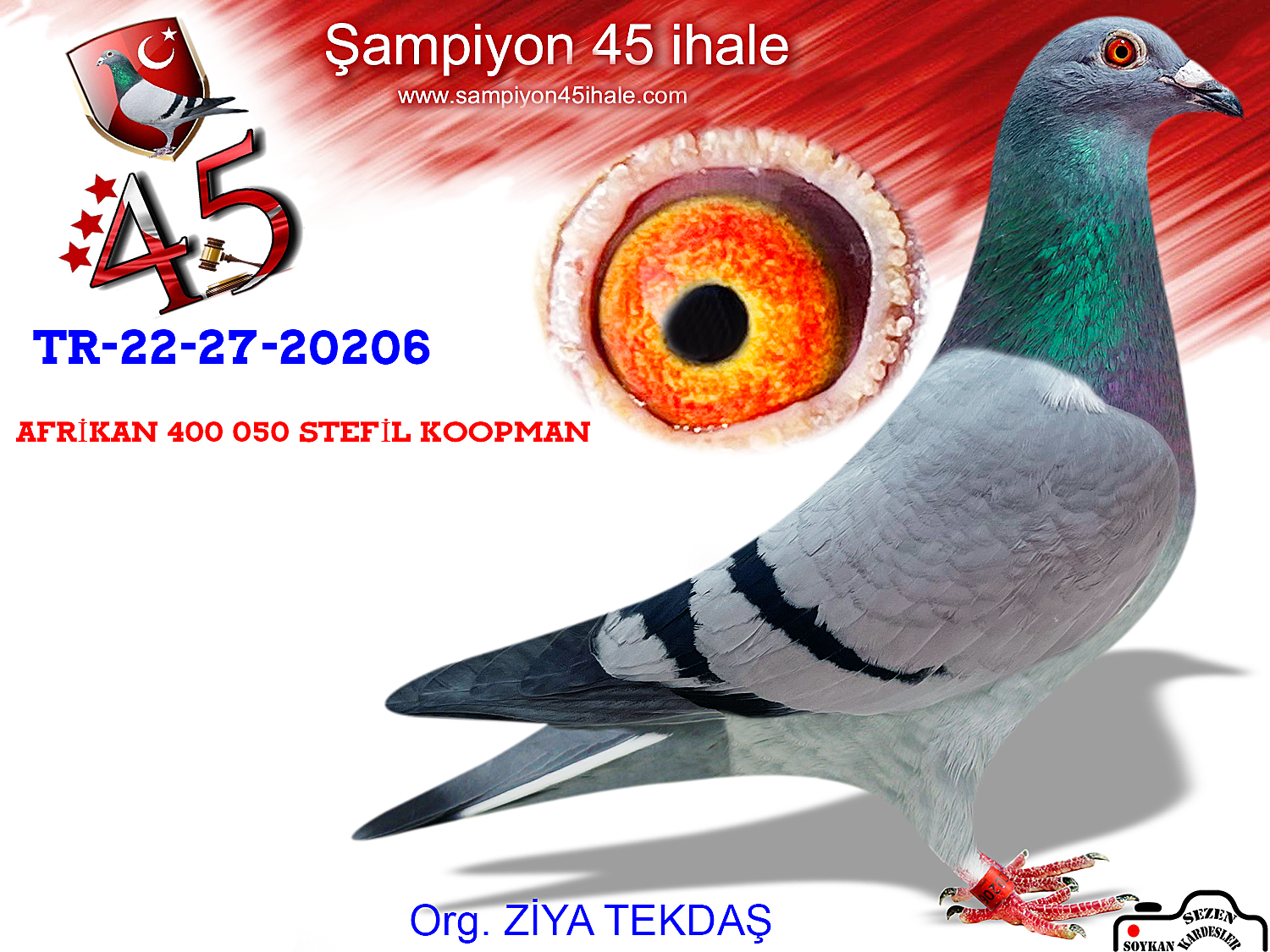 TR-22-27-20206 DİŞİ