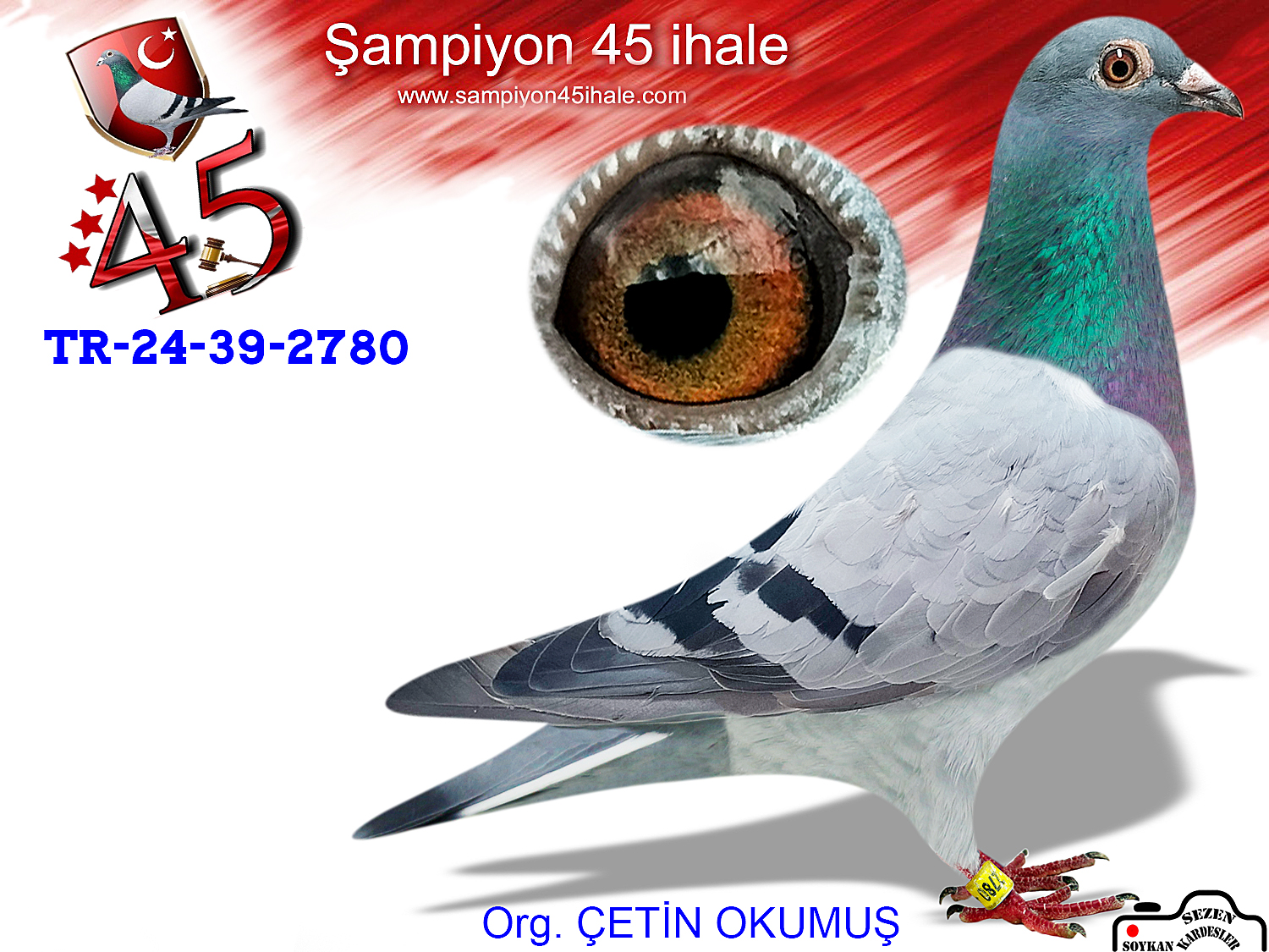 TR-24-39-02780 DİŞİ