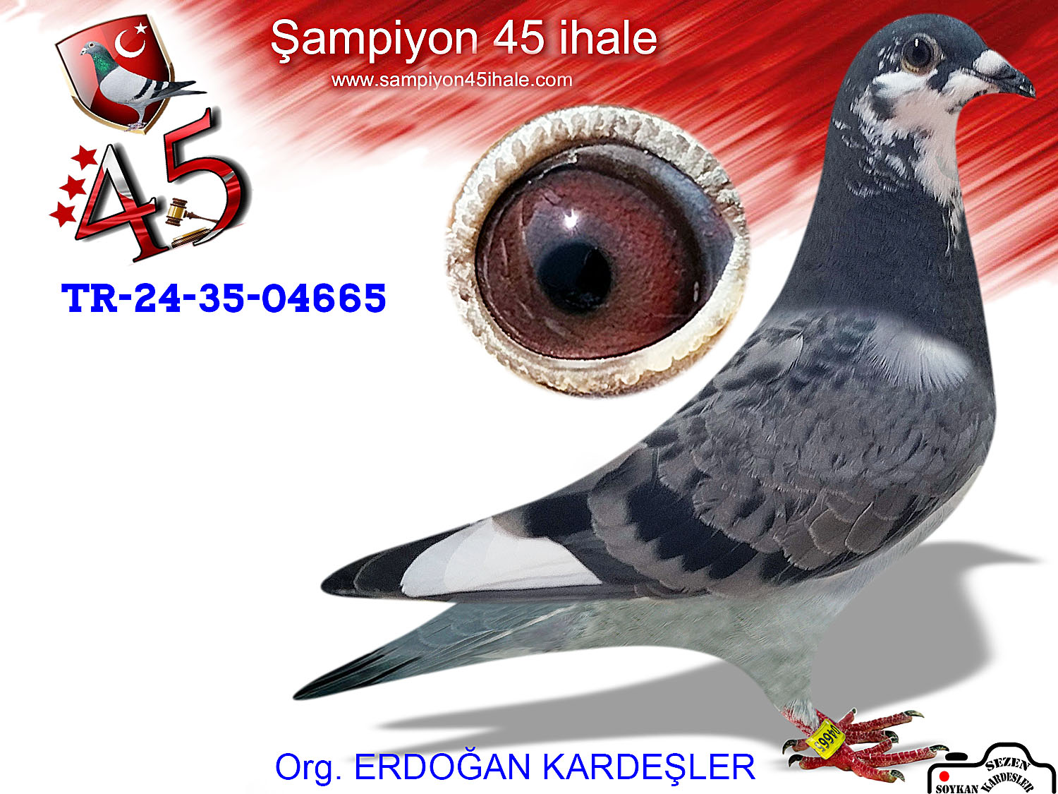 TR-24-35-04665 DİŞİ