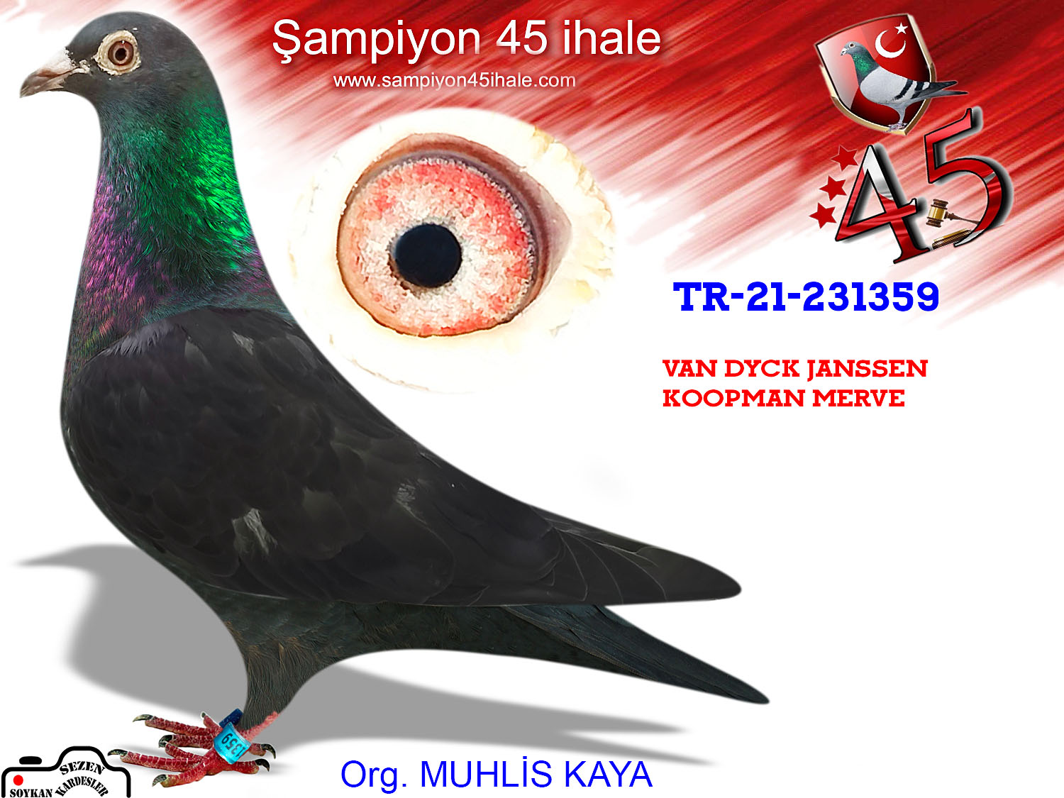 TR-21-231359 DİŞİ