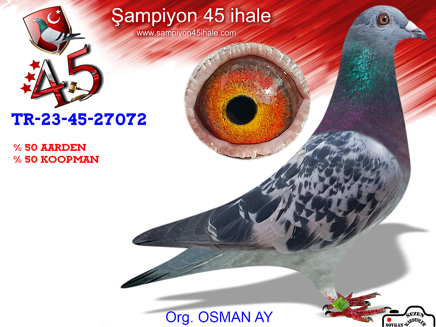 TR-23-45-27072 DİŞİ