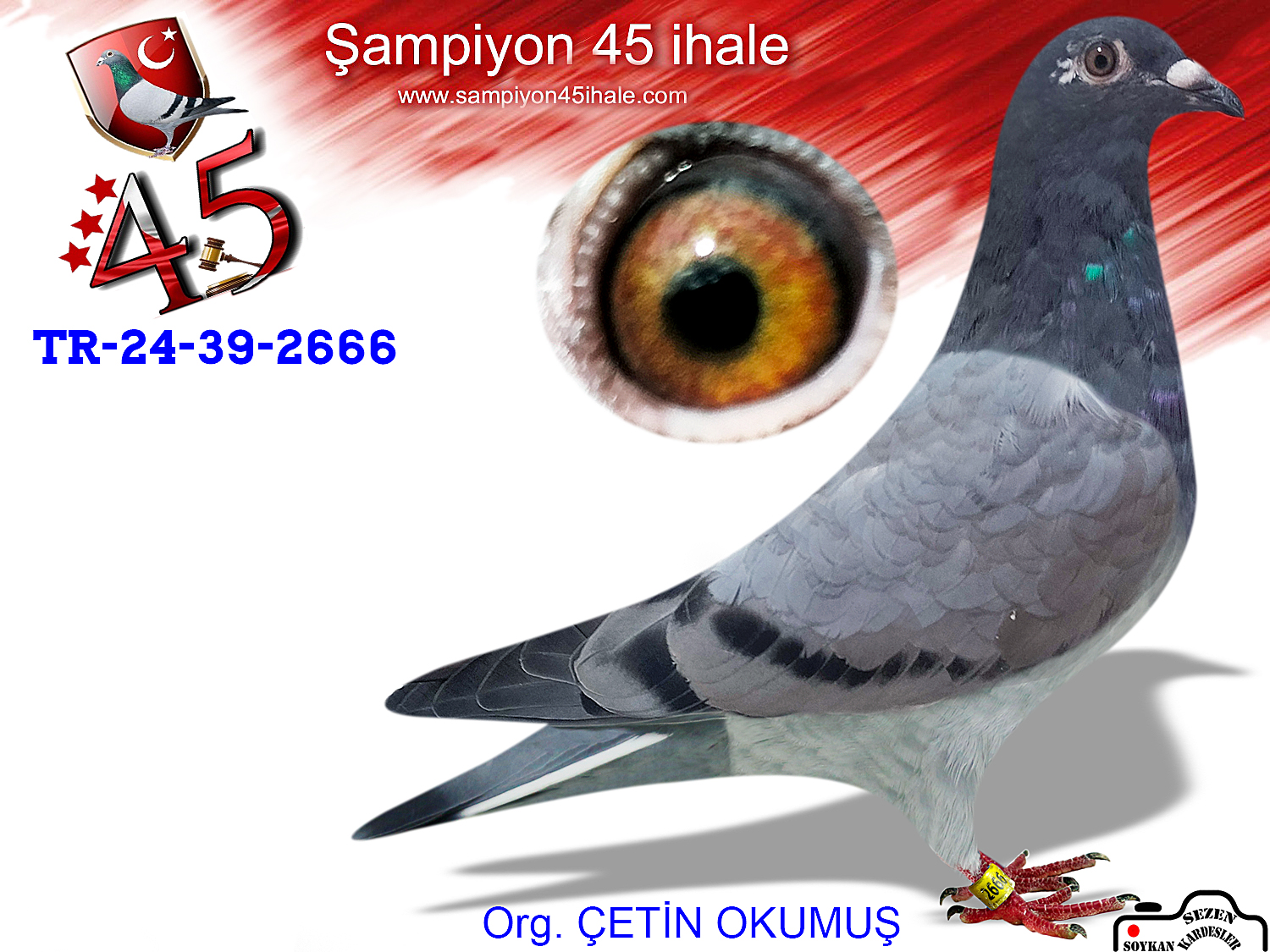 TR-24-39-2666 DİŞİ