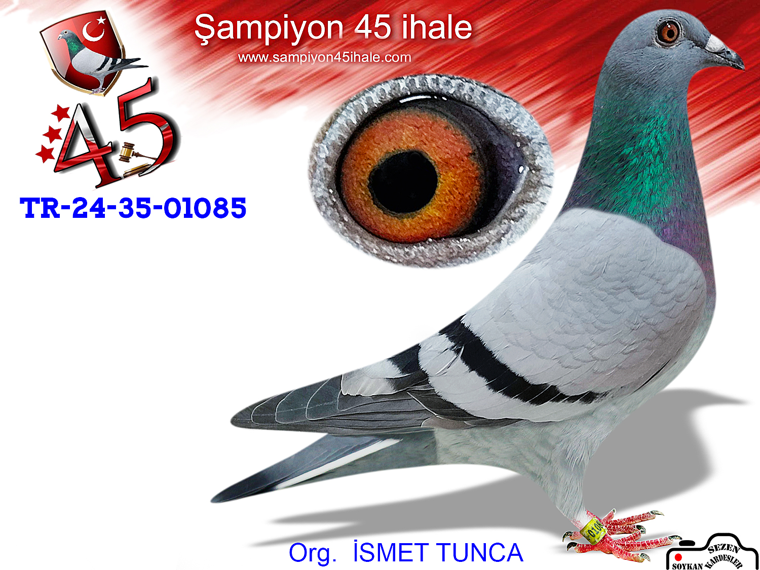 TR-24-35-01085 DİŞİ