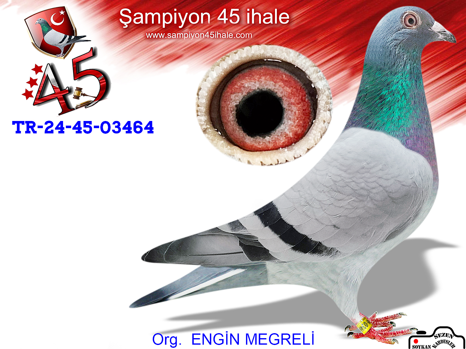 TR-24-45-03464 DİŞİ