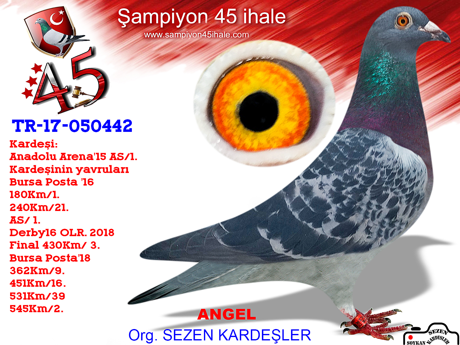 TR-17-050442 DİŞİ