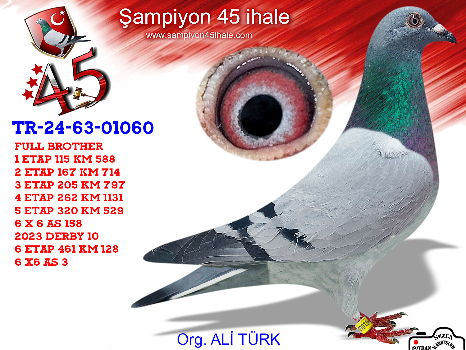 TR-24-63-01060 DİŞİ