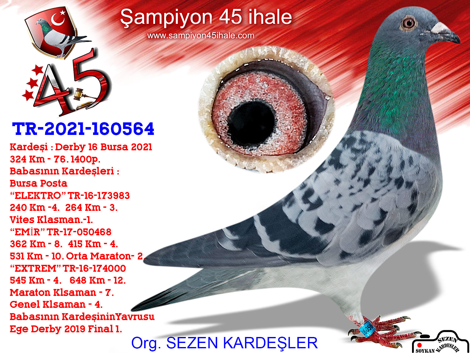 TR-21-160564 DİŞİ