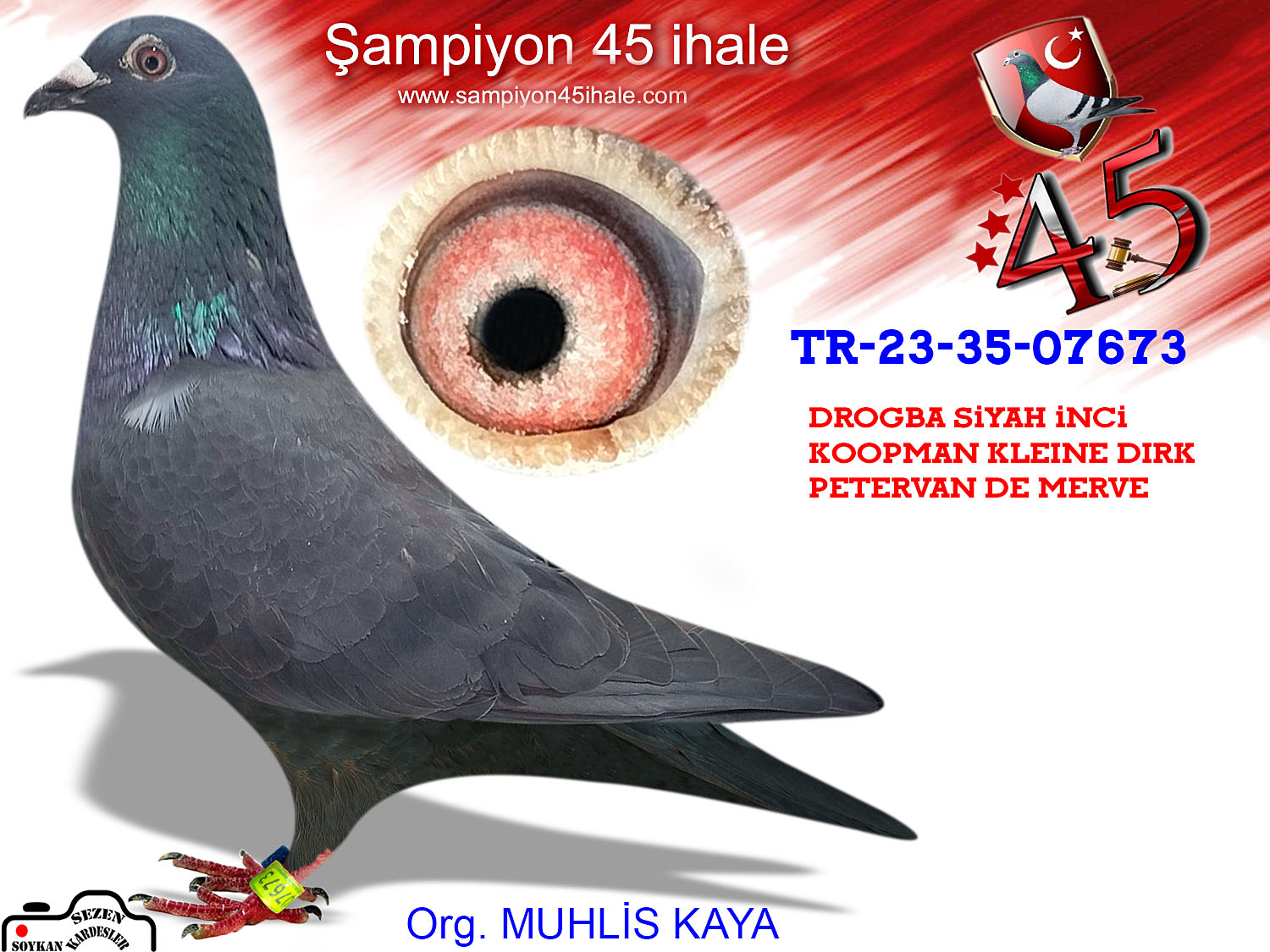 TR-23-35-07673 DİŞİ