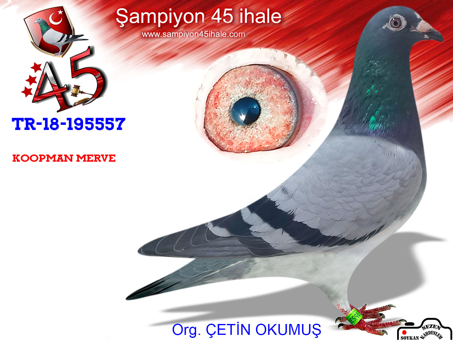 TR-18-195557 DİŞİ