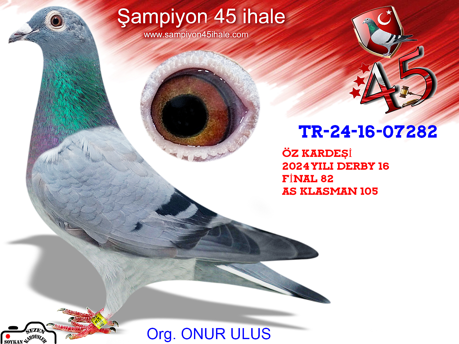 TR-24-16-07282 DİŞİ