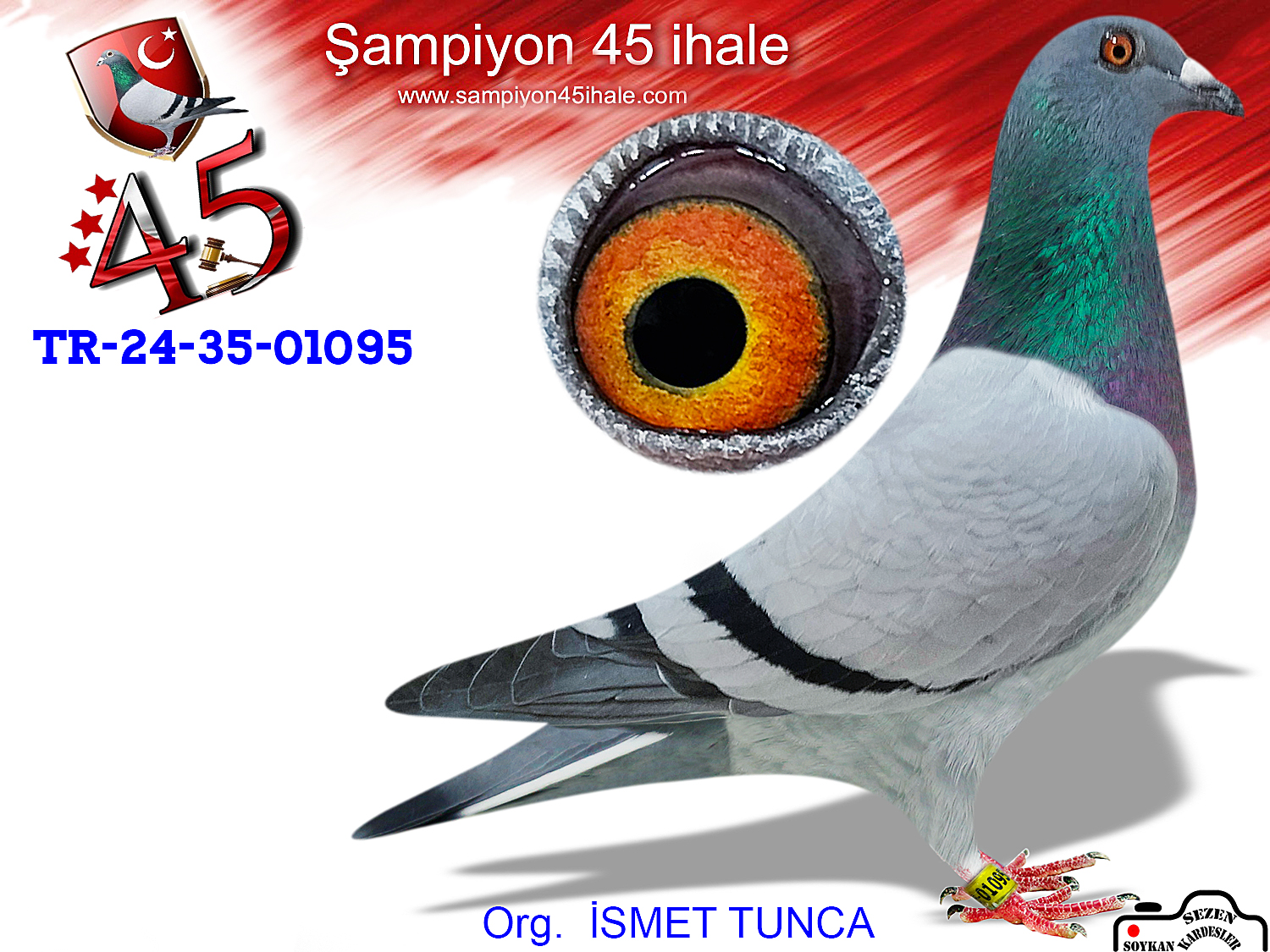 TR-24-35-01095 DİŞİ