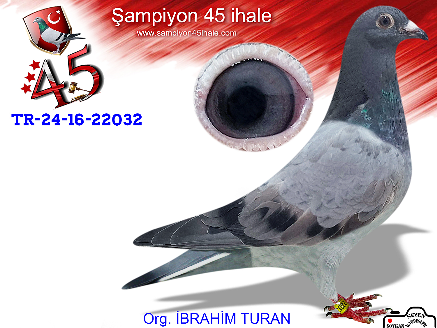 TR-24-16-22032 DİŞİ