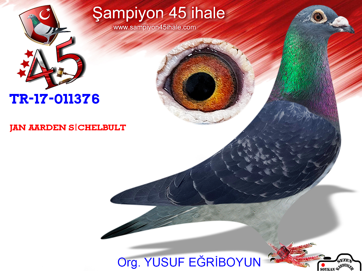 TR-17-11376 DİŞİ