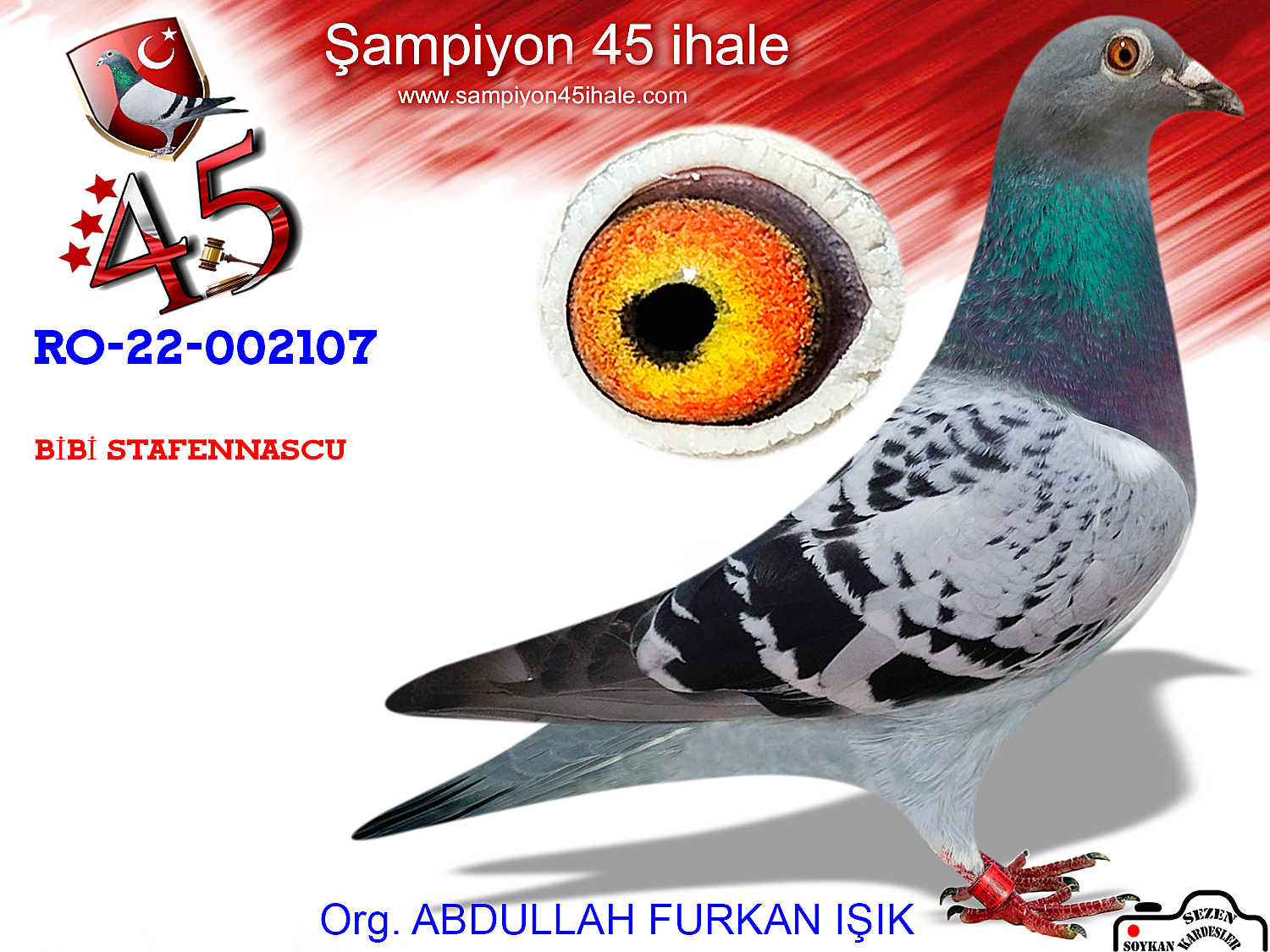 RO-22-002107 DİŞİ